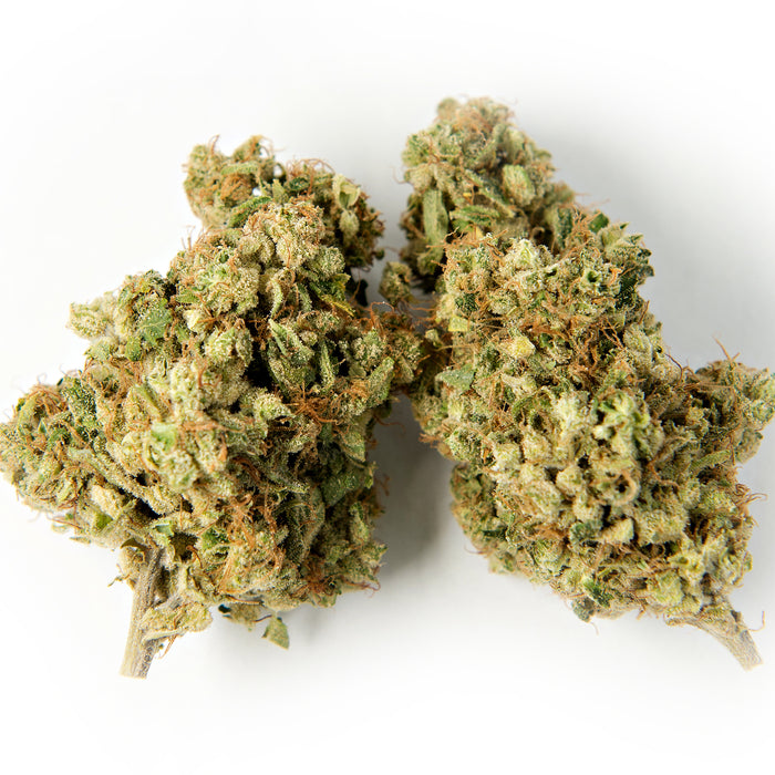 BALI KUSH (ROYAL PURPLE KUSH)